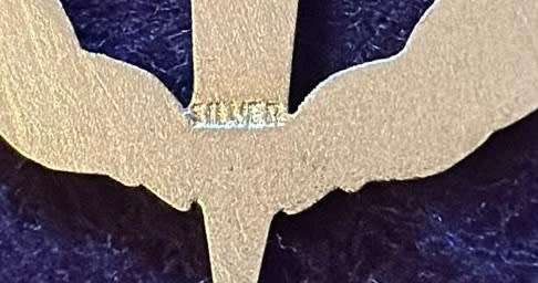SA Army Special Forces RECCE Operator Qualification Badge - Hallmarked Silver with PVC backing (JC)