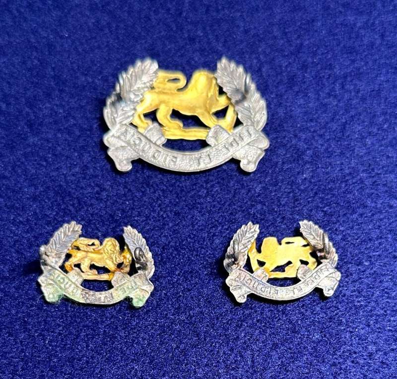 Rhodesian Lion Pay Corps - Cap Badge and Set of Collars - Variant 2