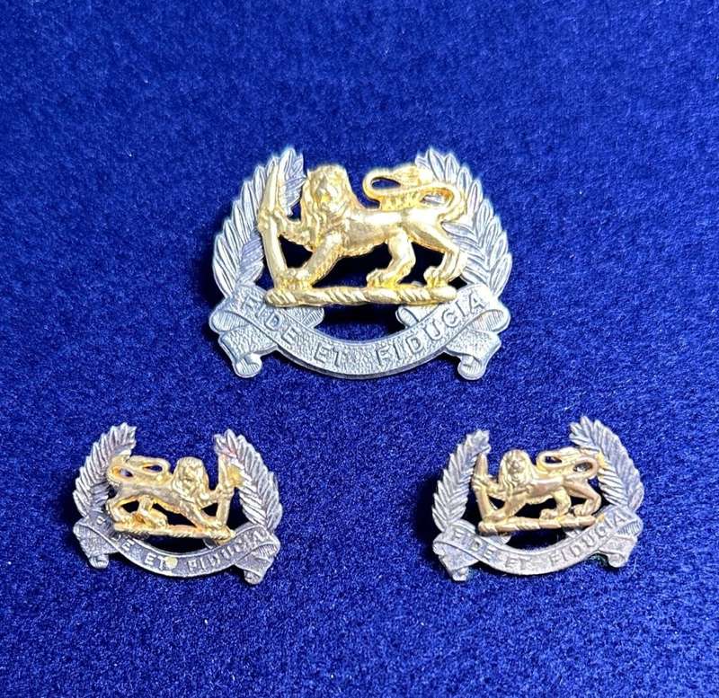 Rhodesian Lion Pay Corps - Cap Badge and Set of Collars - Variant 2