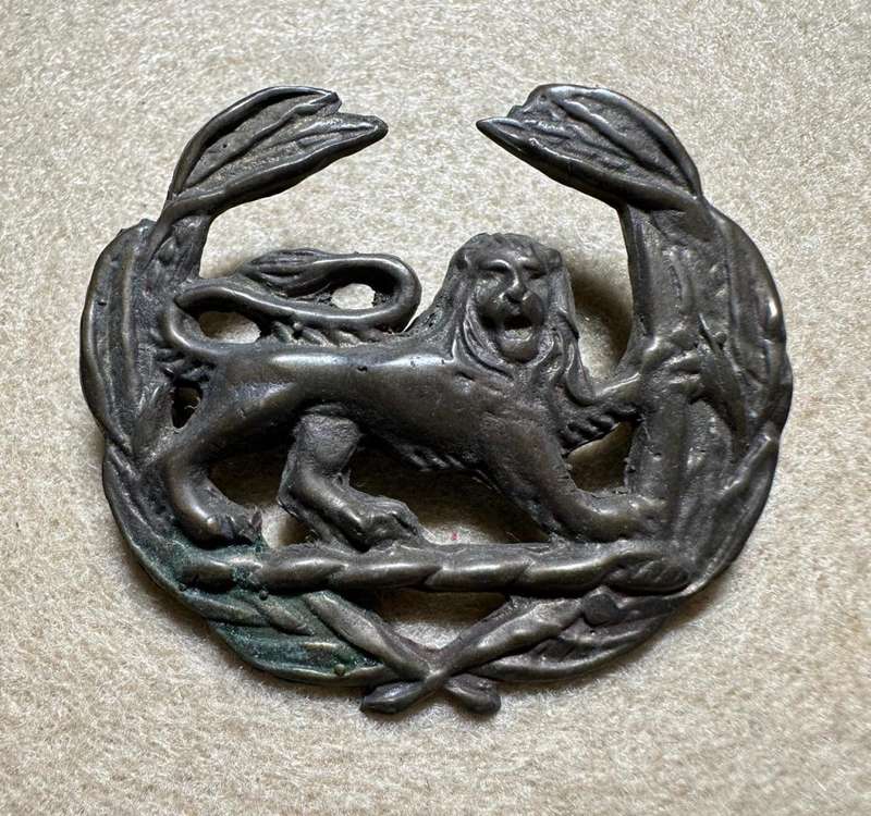 Rhodesian Forces - LION RIGHT FACING RARE SOUTHERN RHODESIA WO CLASS II BRASS