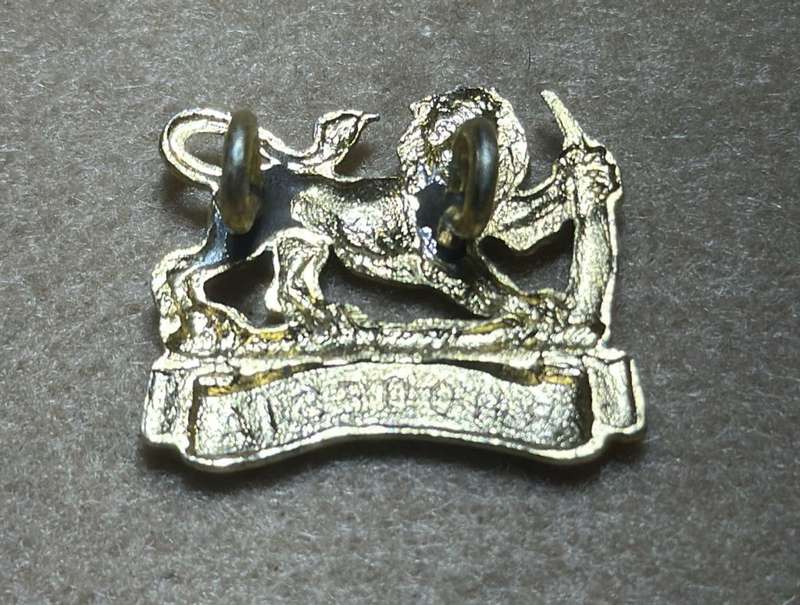 Rhodesia Womans Services - NORMAL ANNODISED COLLAR - Other Ranks