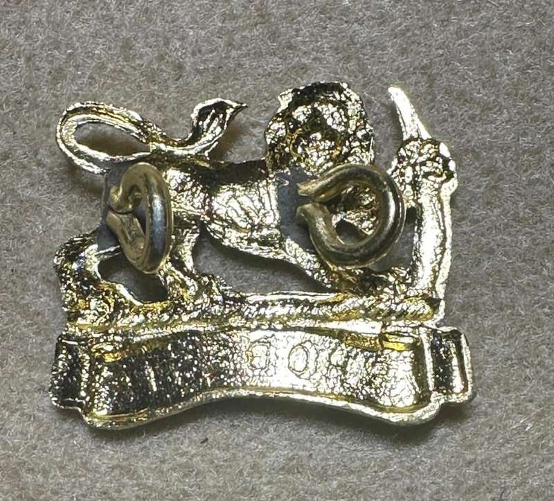 Rhodesia Womans Services - NORMAL ANNODISED COLLAR - Other Ranks