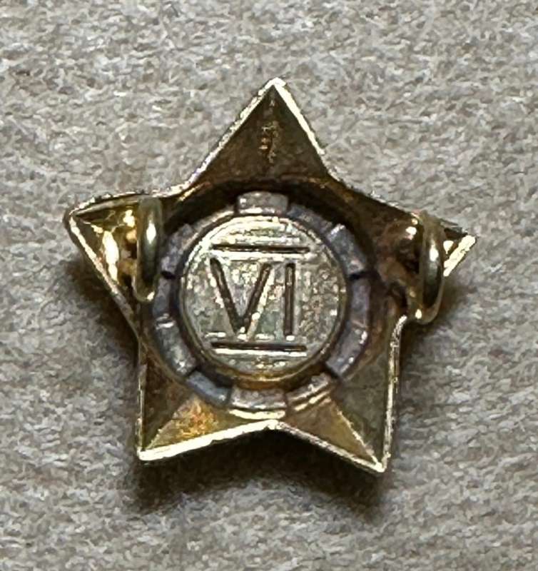 Rhodesian Guard Force - Set of 1 OFFICERS RANK STAR, Colour Variant