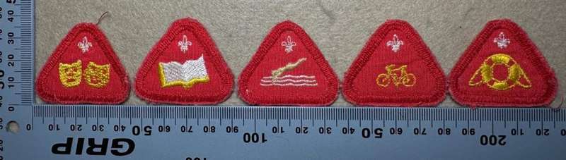 Rhodesian Boy Scouts - VARIED PROFICIENCY CLOTH BADGES - 5 badges
