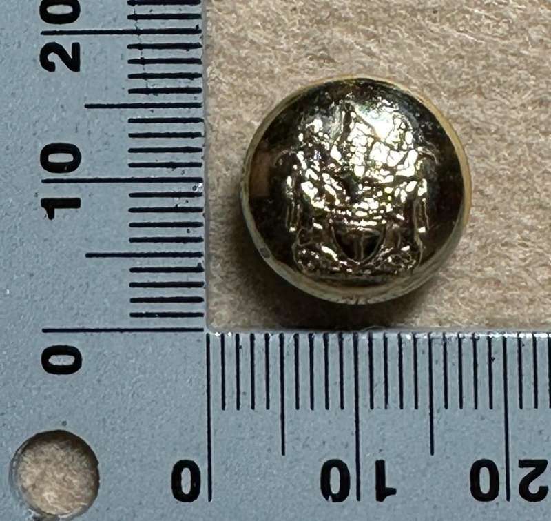 Rhodesian City Councils - CITY OF SALISBURY BUTTON