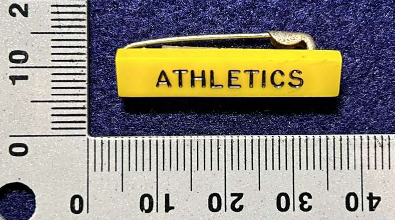 Rhodesian School Badge - ATHLETICS PLASTIC BADGE