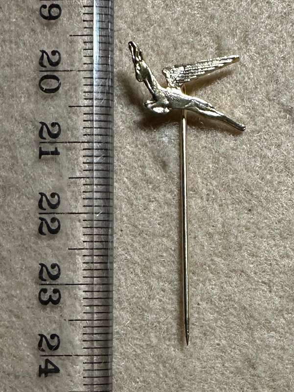 South African Civil Aviation - SAA FLYING SPRINGBOK PIN