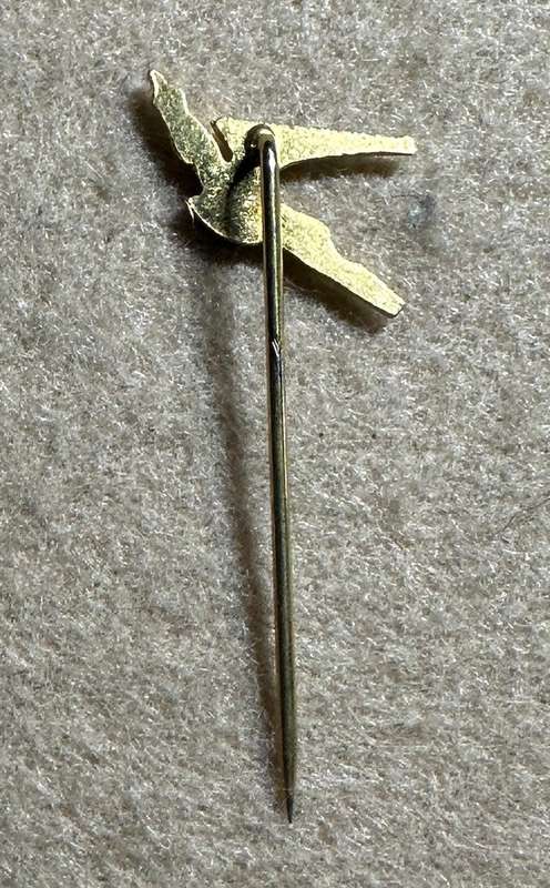 South African Civil Aviation - SAA FLYING SPRINGBOK PIN