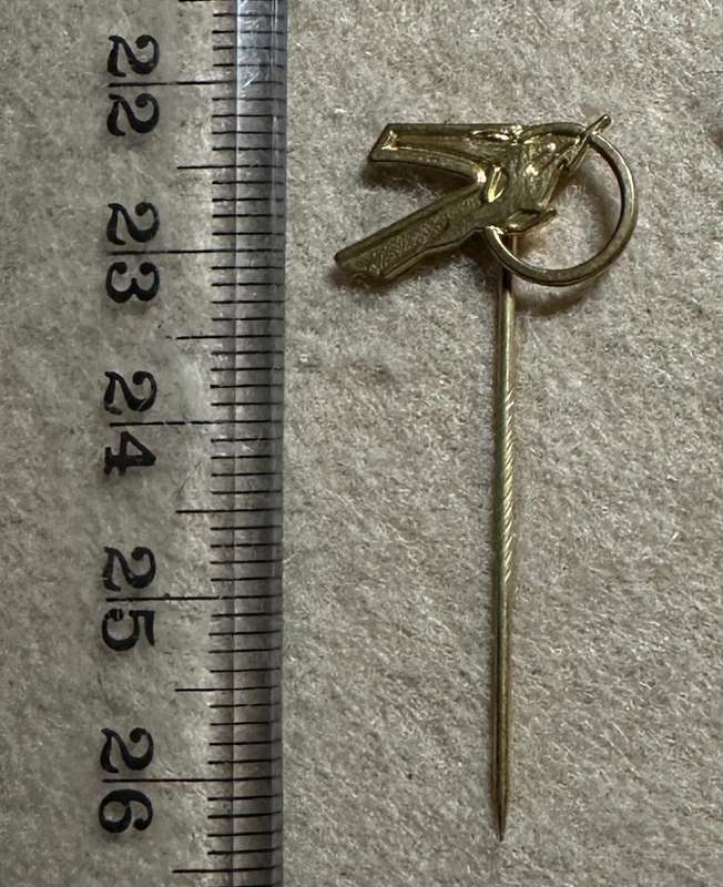 South African Civil Aviation - SAA SPRINGBOK PIN VARIATION