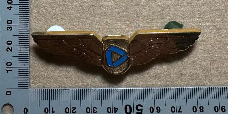 South African Civil Aviation - SAFFAIR WINGS