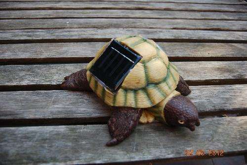 BRAND NEW SOLAR POWERED TORTOISE  GARDEN LIGHT