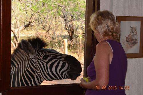 3 night in Marloth Park border on Kruger game reserve (self catering for up to 6 people)