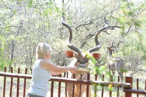 Accommodation in Marloth Park border on Kruger game reserve