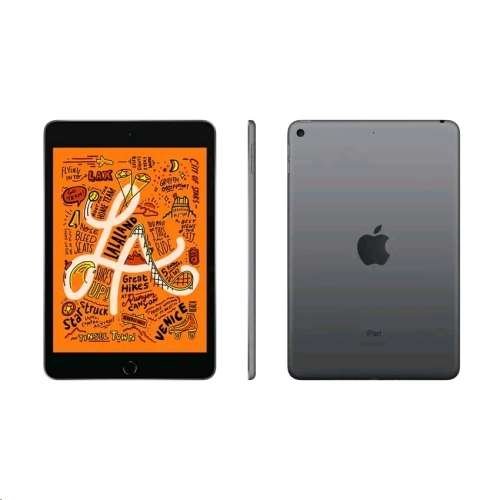 Ipad Mini 5 - 5th Generation - 64GB - WIFI - SPACE GRAY - Immaculate - Laut Folio Cover + Pencil