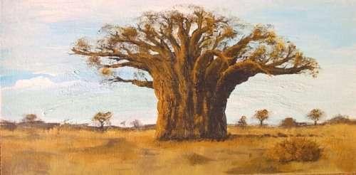 500x300mm unframed