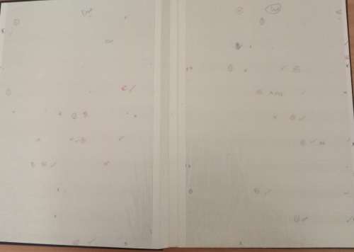 IDEAL ALBUM 10 PAGES WITH WRITING ON PAGES WELL USED FAIR CONDITION