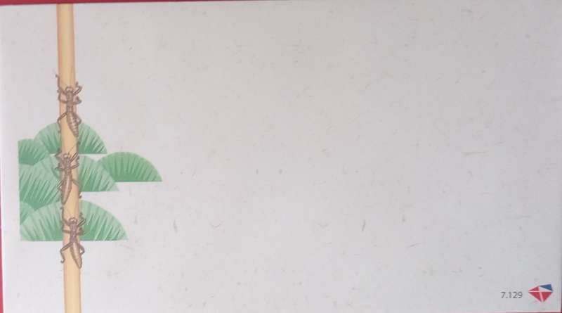 RSA UNADDRESSED  7.129 FDC ENTOMOLOGY ICE 2008 CONFERENCE FDC
