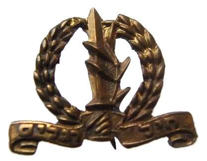 OLD ISRAELI IDF INSIGNIA INFANTRY CORPS MINI LAPEL PIN