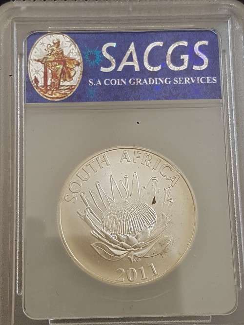 2011 MS68 MATTE PROTEA GRADED
