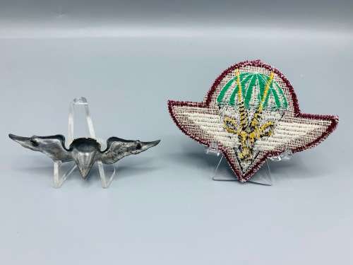 SWA Paratrooper Beret Moth and Wings