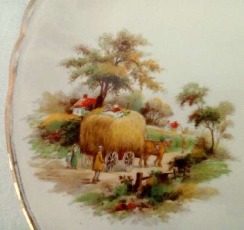 Vintage Alfred Meakin Wonderful display plate
