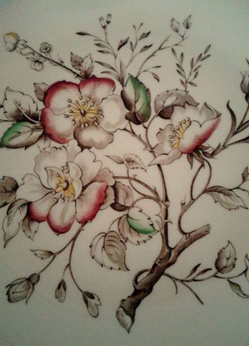 Vintage WILD ROSE Alfred Meakin hand engraved pattern.