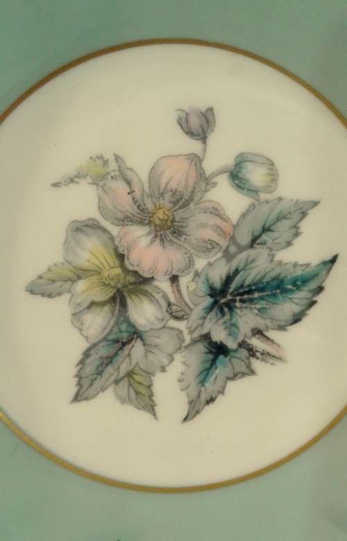 Lovely Royal Worcester Fine Bone China pin plate