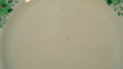 Vintage Copeland's, Spode plate Pattern : Nancy