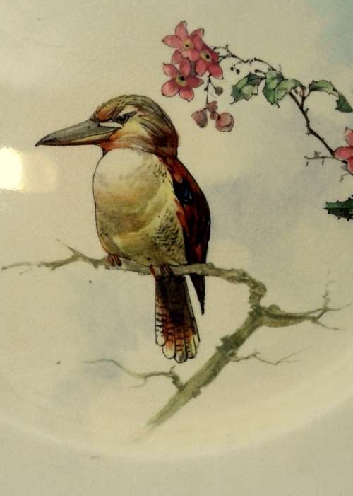 Rare Royal Doulton 'Kookaburra' Dinner plate