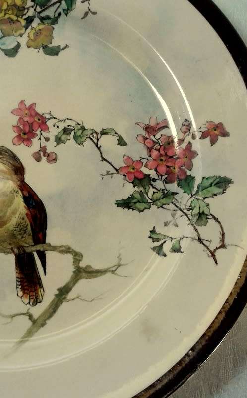 Rare Royal Doulton 'Kookaburra' Dinner plate