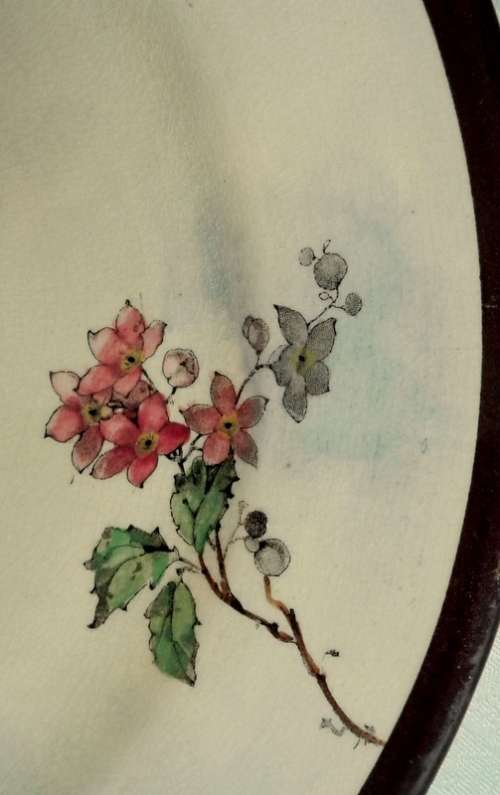 Rare Royal Doulton 'Kookaburra' Dinner plate