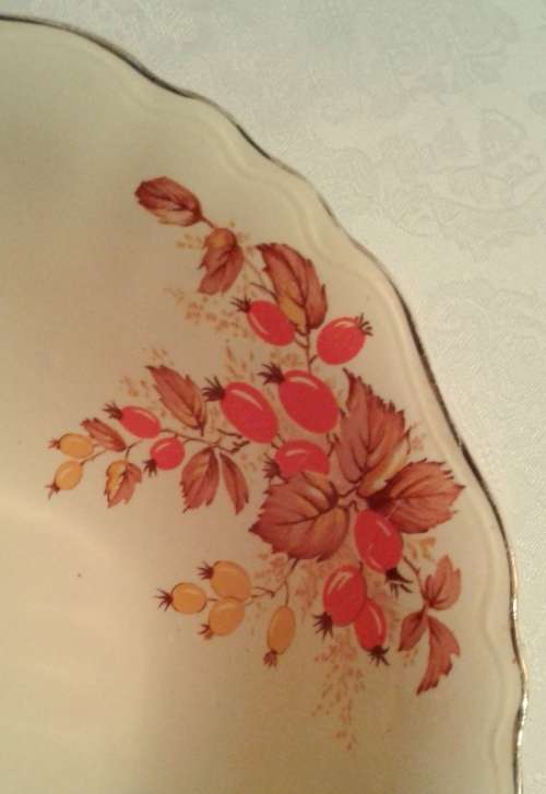 Lovely Vintage J & G Meakin  SUNSHINE bowl