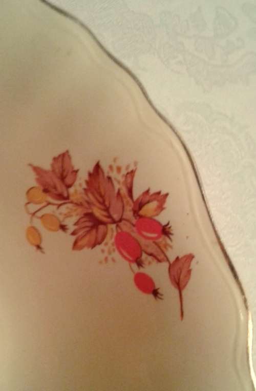 Lovely Vintage J & G Meakin  SUNSHINE bowl