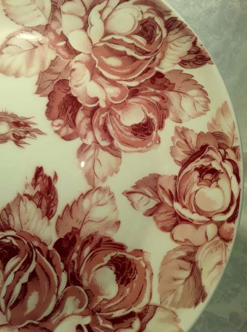 Magnificent Original Staffordshire Burslem England  Elizabeth Turner Devon Rose reg number 48263