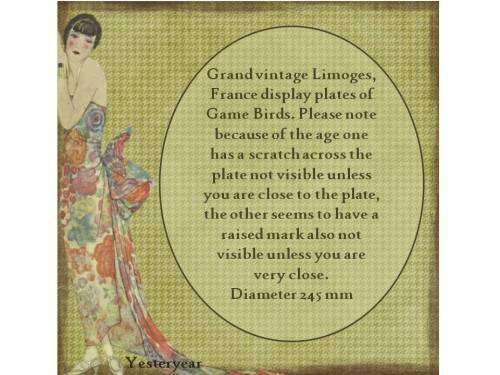 Grand vintage Limoges, France display plates of Game Birds. Please read the description