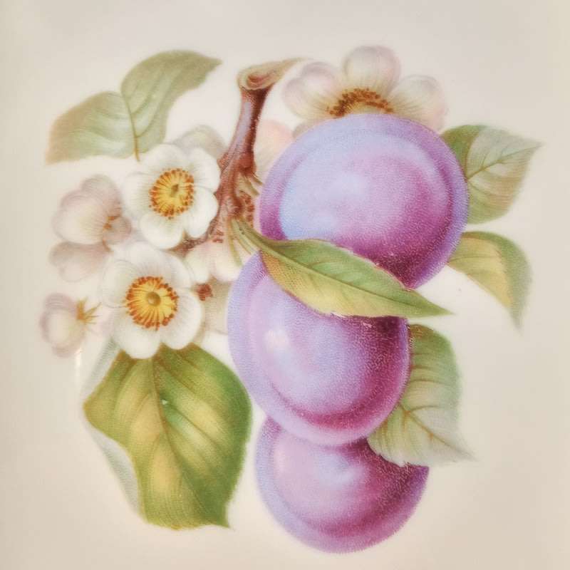 Vintage Bavaria Germany Set of 6 Fruit Plates Hutschenreuther 1946 -1948