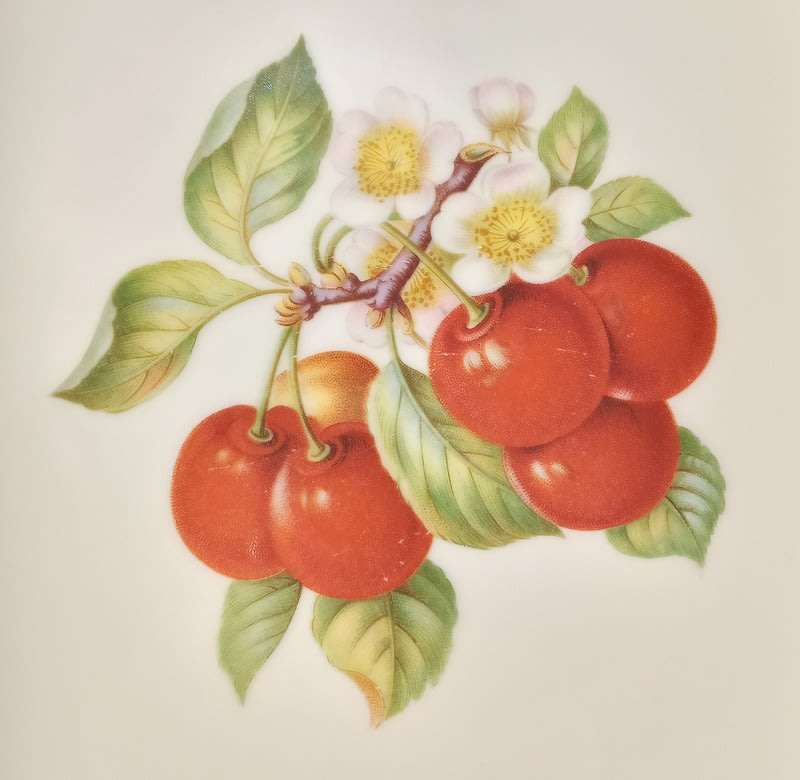 Vintage Bavaria Germany Set of 6 Fruit Plates Hutschenreuther 1946 -1948