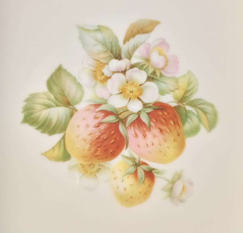 Vintage Bavaria Germany Set of 6 Fruit Plates Hutschenreuther 1946 -1948