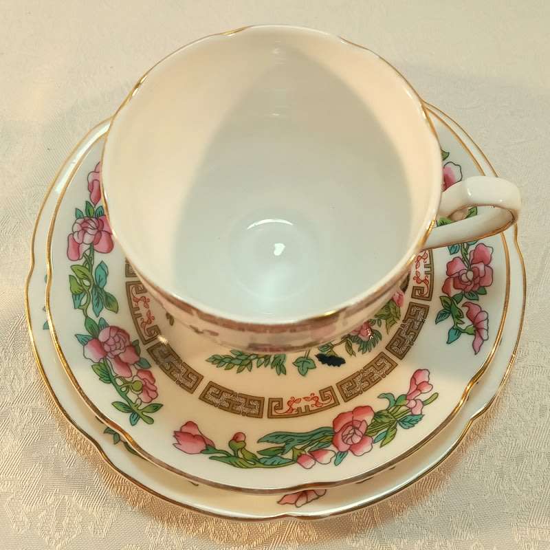 Classical Indian Tree Trio. Royal Grafton Fine Bone China