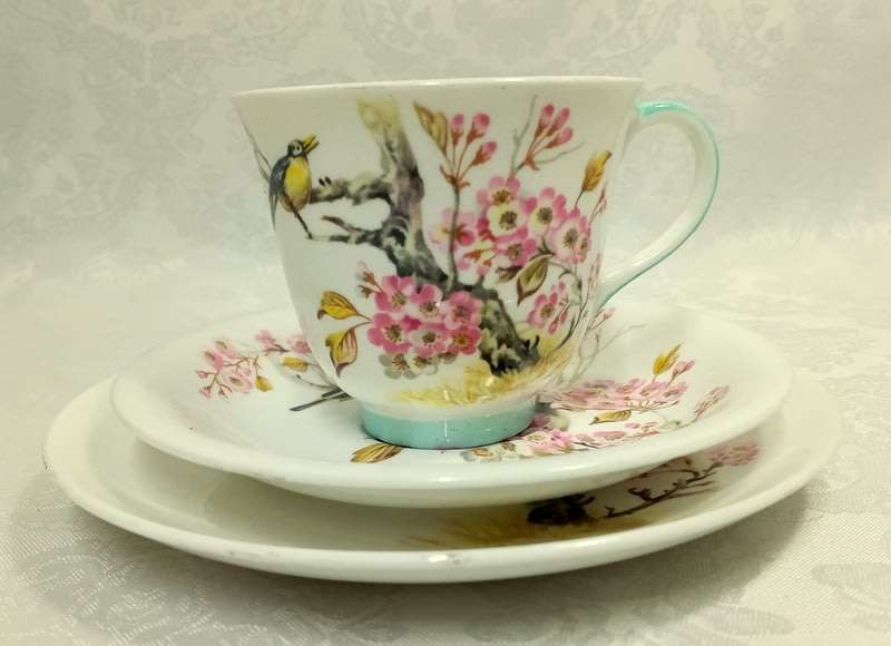 Queen Anne Trio Shangri-La Bird Teacup and Saucer