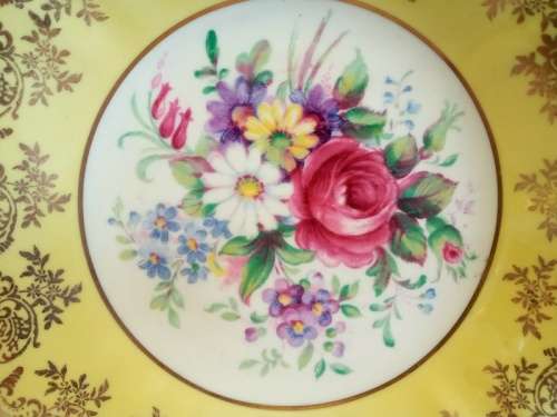 Vintage Pair of Paragon handled dishes Equisite