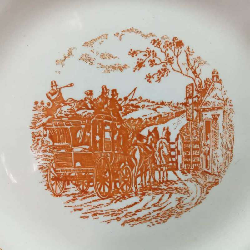 Brazilian plate. Porto Ferreira.