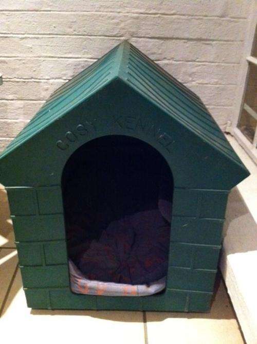 Cosy Kennel