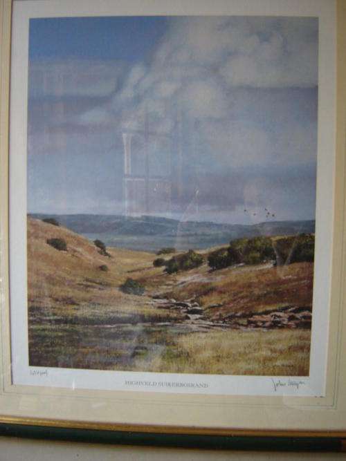 John Meyer artists Proof, Suikerbosrand Highveld