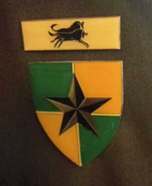 Authentic SA  Chaplin`s` Tunic from the 70`s in very good condition with insignia