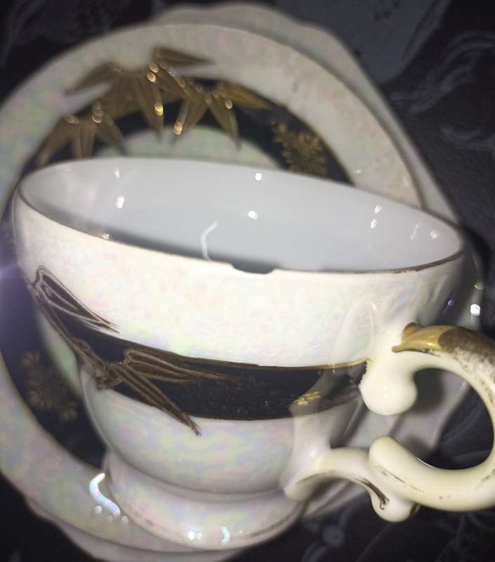Mother of Pearl, Gold Embossed 24 piece Joyale Fine China Hand Pained Patt.no 9153 Tea set no 2