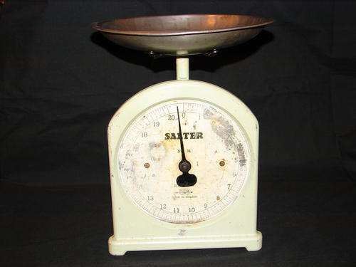 Salter Scale