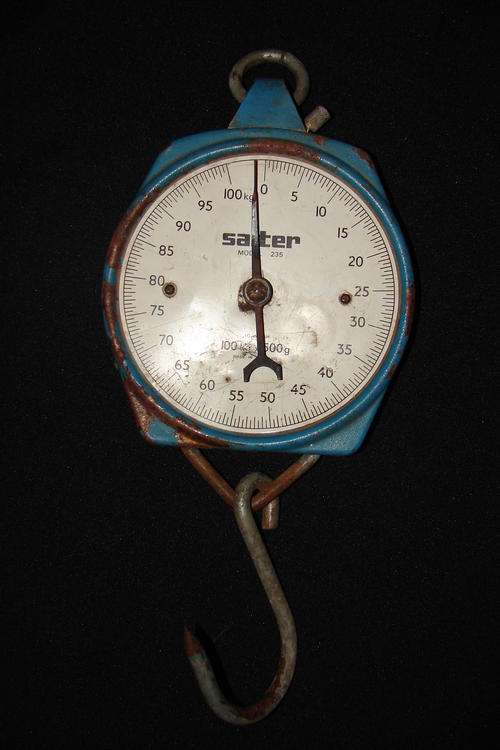 Salter Hanging Scale - Model 235 (100kg x 500gram)-Made in England-working order