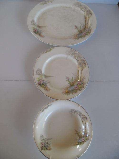 ABSOLUTE COLLECTABLE WALL HANGER PLATE SET. PLEASE READ DESCRIPTION