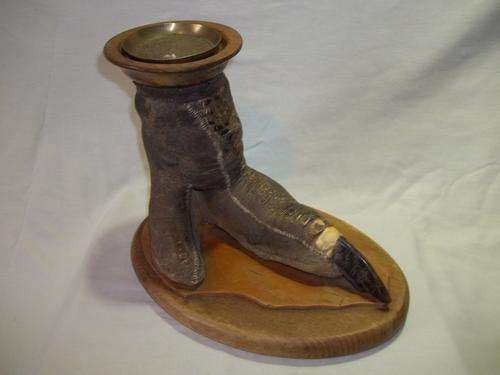 Genuine Ostrich Foot Ashtray